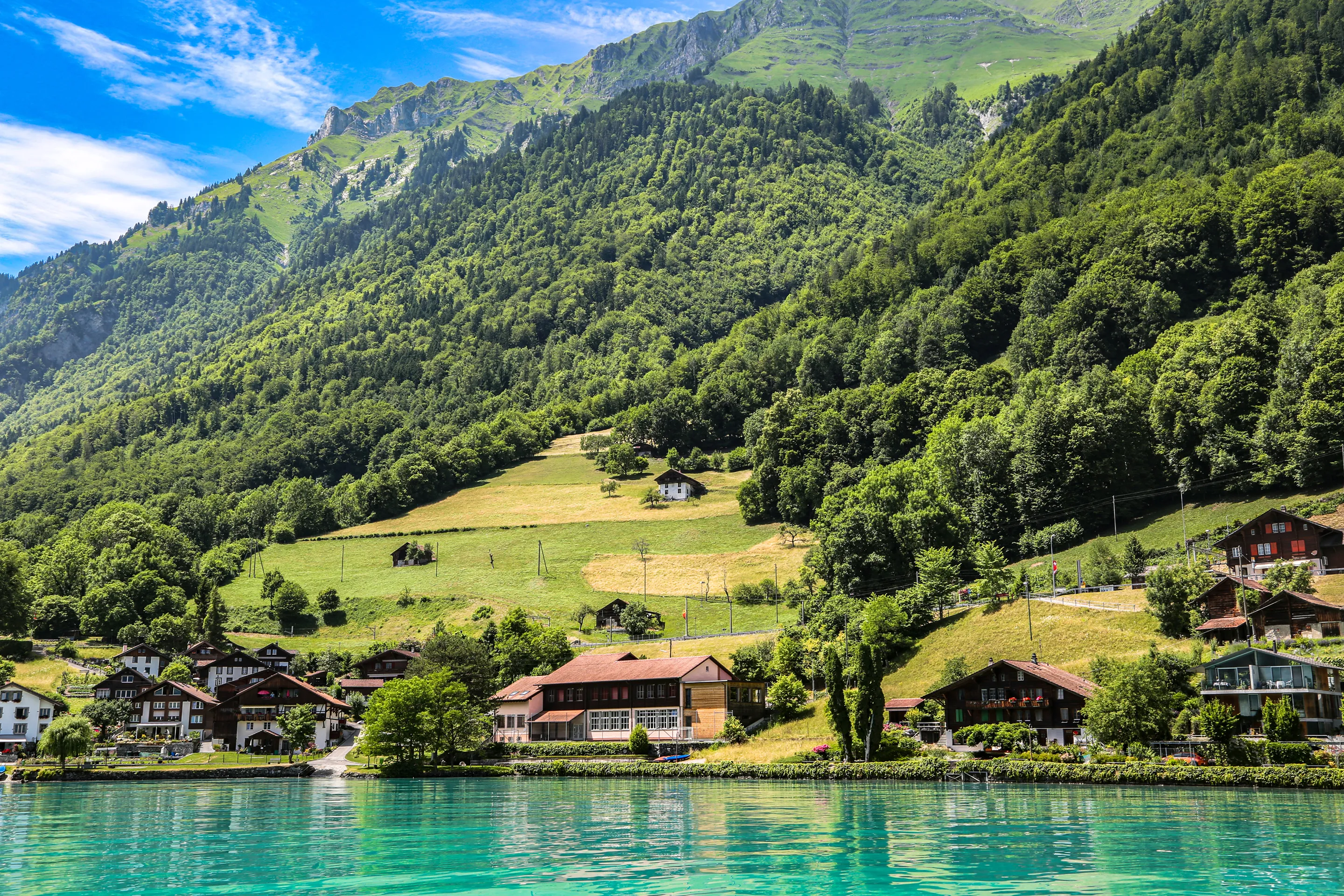 Where Stillness Meets the Alps