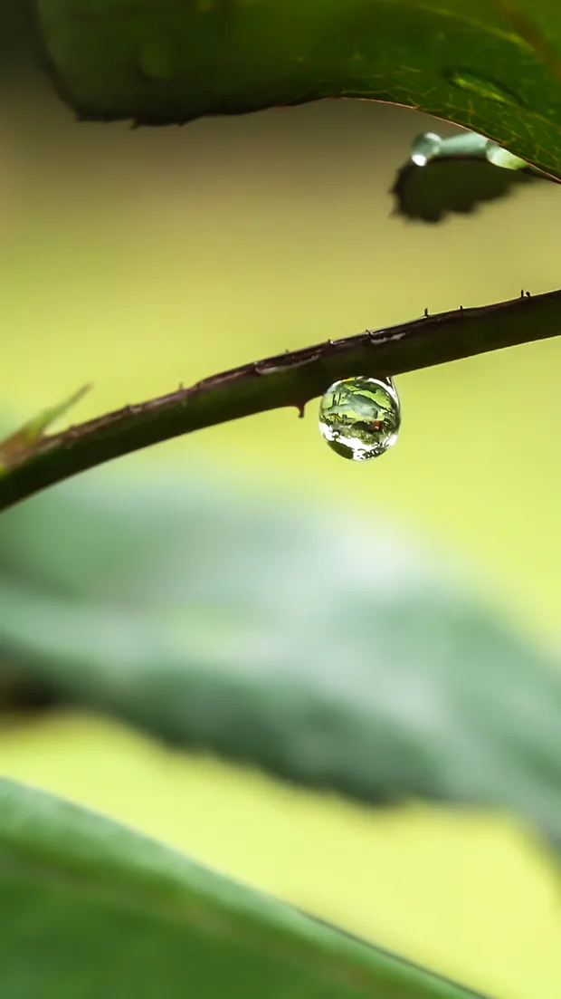 A Universe in a Drop